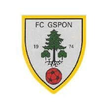 FC Gspon 1